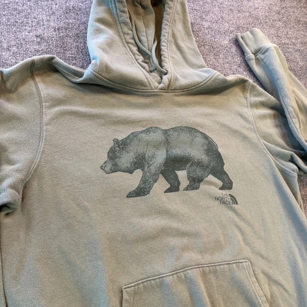 The North Face Mens Bear Graphic Pullover Hoodie Sage Green Large